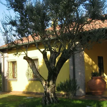 B&B La Vigna di Federico-3